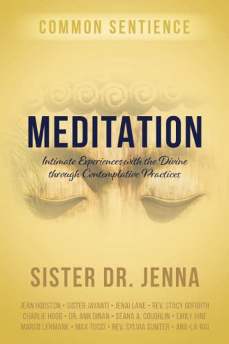Beispielbild fr Meditation: Intimate Experiences with the Divine through Contemplative Practices (Common Sentience) zum Verkauf von BooksRun