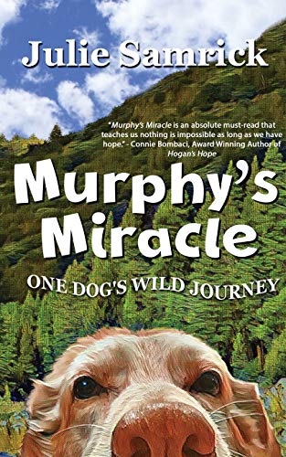 Stock image for Murphy's Miracle: One Dog's Wild Journey for sale by Orion Tech