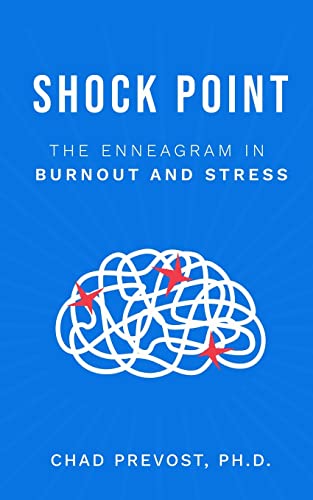Beispielbild fr Shock Point: The Enneagram in Burnout and Stress zum Verkauf von HPB-Diamond