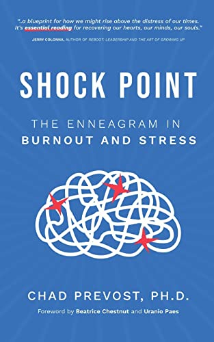 Stock image for Shock Point: The Enneagram in Burnout and Stress for sale by HPB-Diamond