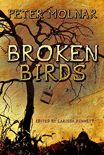 Imagen de archivo de Broken Birds a la venta por Better World Books