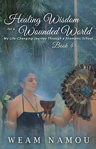 Imagen de archivo de Healing Wisdom for a Wounded World : My Life-Changing Journey Through a Shamanic School (Book 4) a la venta por Better World Books