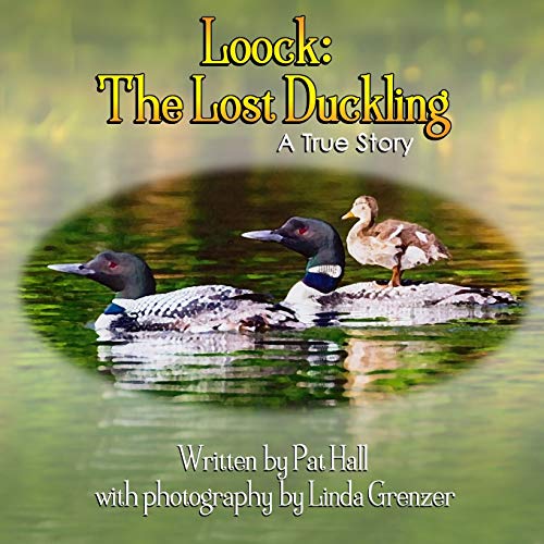 Beispielbild fr Loock: The Lost Duckling: A True Story zum Verkauf von Goodwill