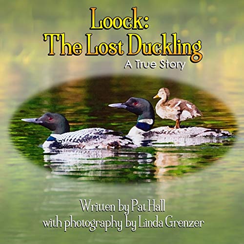 Stock image for Loock: The Lost Duckling: A True Story for sale by Goodwill