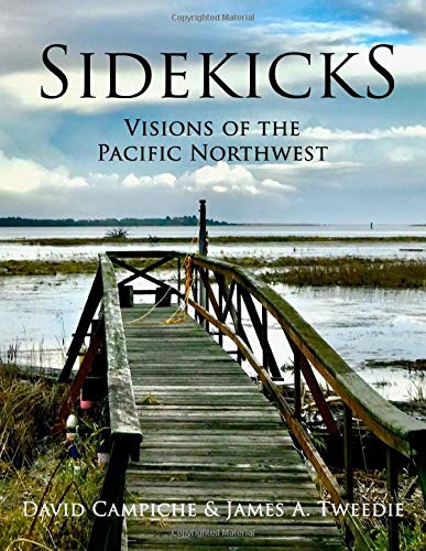 Stock image for Sidekicks: Visions of the Pacific Northwest for sale by Goodwill Books