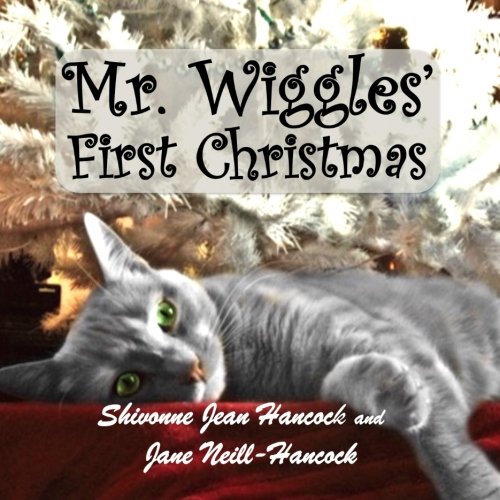 Stock image for Mr. Wiggles' First Christmas: Volume 2 (Meet Mr. Wiggles) for sale by Revaluation Books