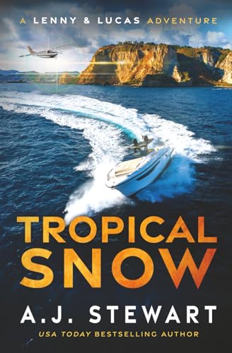 Immagine stock per Tropical Snow
