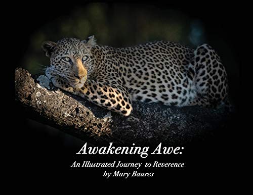 Stock image for Awakening Awe: An Illustrated Journey to Reverence for sale by Red's Corner LLC