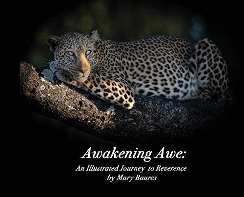 9781945756276: Awakening Awe: An Illustrated Journey to Reverence