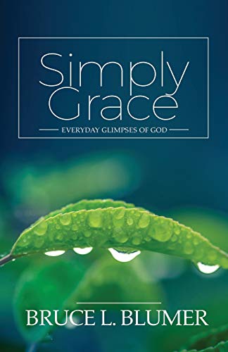 Beispielbild fr Simply Grace : Everyday Glimpses of God zum Verkauf von Better World Books