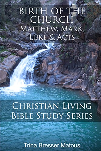 

Birth of the Church: Matthew, Mark, Luke & Acts