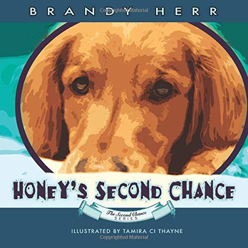 Beispielbild fr Honey's Second Chance zum Verkauf von SecondSale