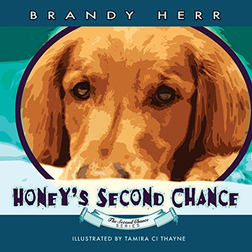 Stock image for Honey's Second Chance for sale by SecondSale