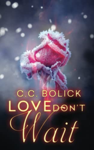 Beispielbild fr Love Don't Wait (The Agency) zum Verkauf von Revaluation Books