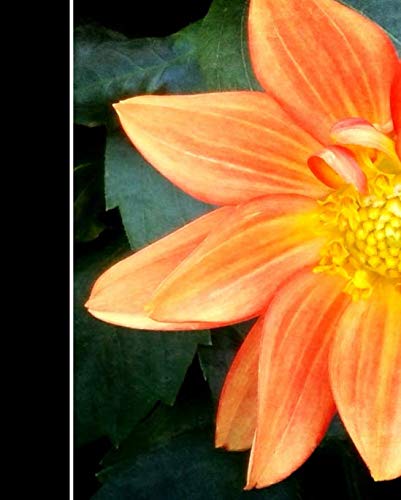 Stock image for ONE Journal: Orange Dahlia Flower Journal (Blank/Lined) for sale by Revaluation Books