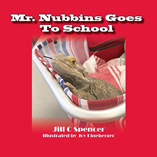 Beispielbild fr Mr. Nubbins Goes To School zum Verkauf von SecondSale