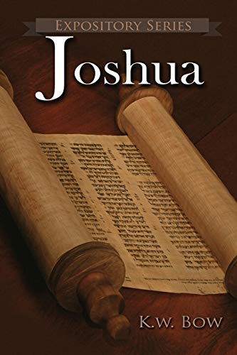 Stock image for Joshua: A Literary Commentary On the Book of Joshua for sale by ThriftBooks-Atlanta