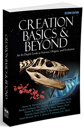 Stock image for Creation Basics and Beyond, 2nd Edition for sale by HPB-Red