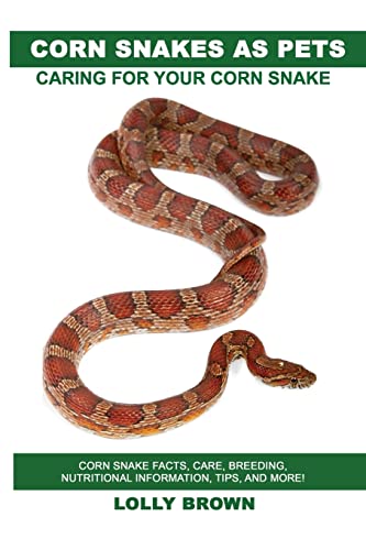 Stock image for Corn Snakes as Pets: Corn Snake facts, care, breeding, nutritional information, tips, and more! Caring For Your Corn Snake for sale by Blue Vase Books