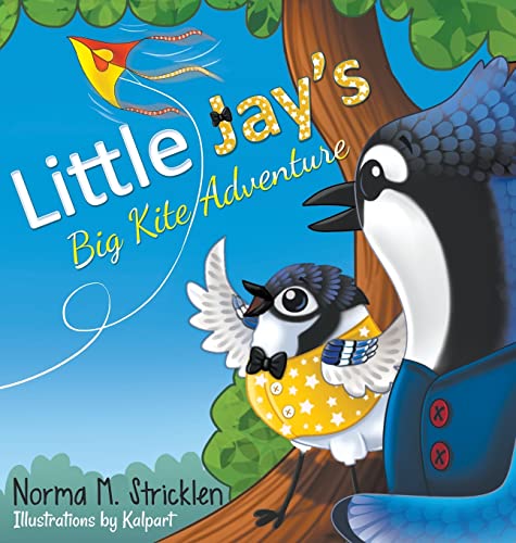 Stock image for Little Jay's Big Kite Adventure (Little Jay's Adventure) for sale by Lucky's Textbooks