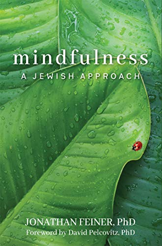 Stock image for Mindfulness: A Jewish Approach for sale by Amazing Books Pittsburgh