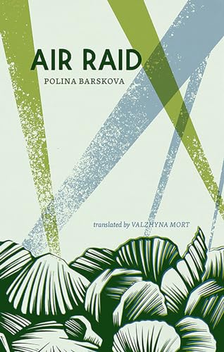 Stock image for Air Raid for sale by BOOKER C