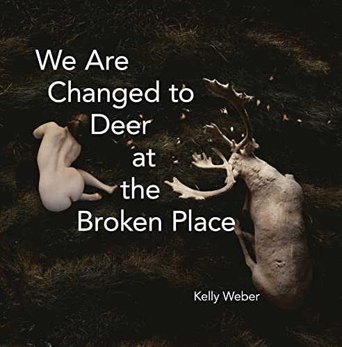 Beispielbild fr We Are Changed to Deer at the Broken Place zum Verkauf von Blackwell's