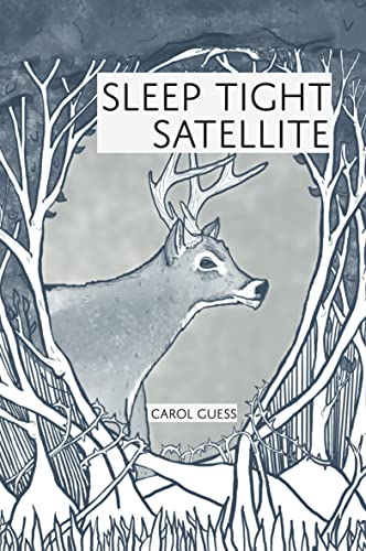 Imagen de archivo de Sleep Tight Satellite: Stories a la venta por ThriftBooks-Atlanta