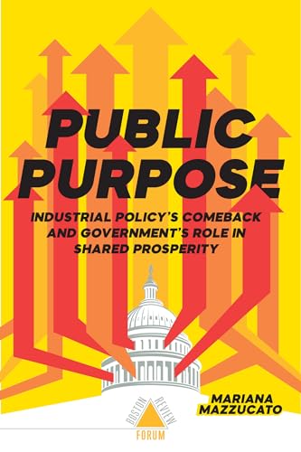 9781946511652: Public Purpose: Industrial Policy's Comeback and Government's Role in Shared Prosperity (Boston Review / Forum)