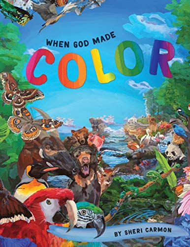 Stock image for When God Made Color for sale by SecondSale