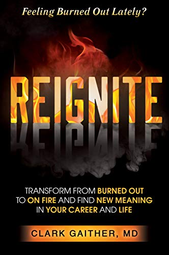 Beispielbild fr Reignite: Transform from Burned Out to On Fire and Find New Meaning in Your Career and Life zum Verkauf von BooksRun