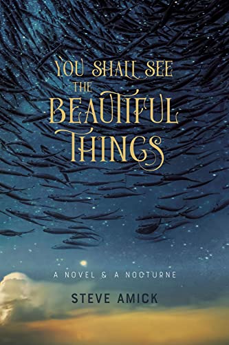 Stock image for You Shall See the Beautiful Things: A Novel & A Nocturne for sale by Books From California