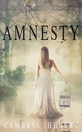 Beispielbild fr Amnesty: Amnesia duet book 2 zum Verkauf von ThriftBooks-Atlanta