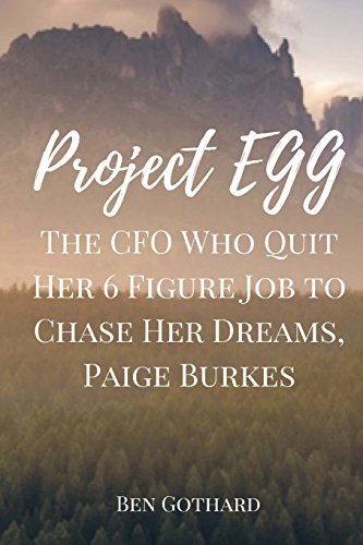 Stock image for The CFO Who Quit Her 6 Figure Job to Chase Her Dreams, Paige Burkes for sale by THE SAINT BOOKSTORE