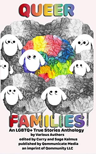 Stock image for Queer Families: An Lgbtq+ True Stories Anthology for sale by Books From California