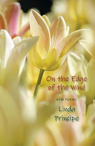 Imagen de archivo de On the Edge of the Wind a la venta por ThriftBooks-Dallas