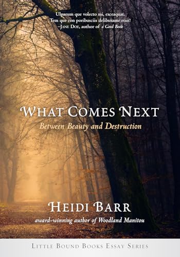 Stock image for What Comes Next: Between Beauty and Destruction for sale by Revaluation Books