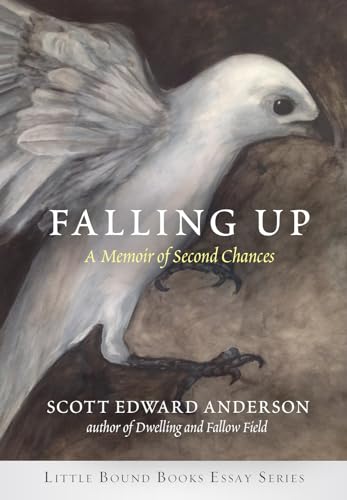 Beispielbild fr Falling Up : A Memoir of Second Chances zum Verkauf von Better World Books