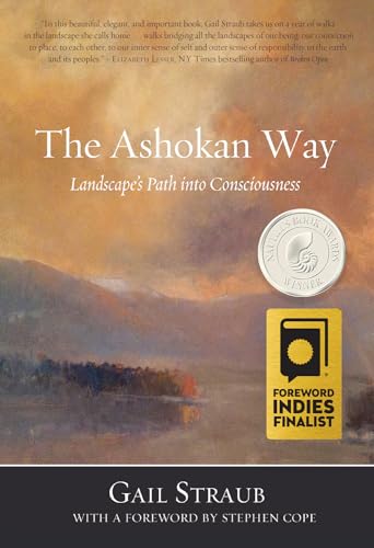 9781947003699: The Ashokan Way: Landscape's Path into Consciousness