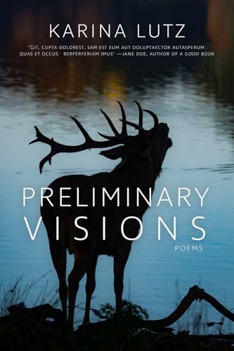 Stock image for Preliminary Visions for sale by WorldofBooks