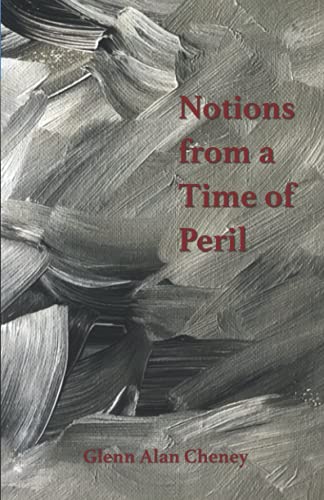 Imagen de archivo de Notions from a Time of Peril a la venta por SecondSale