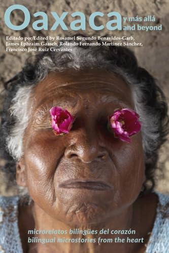 Imagen de archivo de Oaxaca y Ms All a la venta por GreatBookPrices