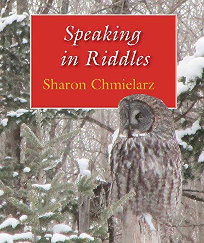 Stock image for Speaking In Riddles for sale by funyettabooks