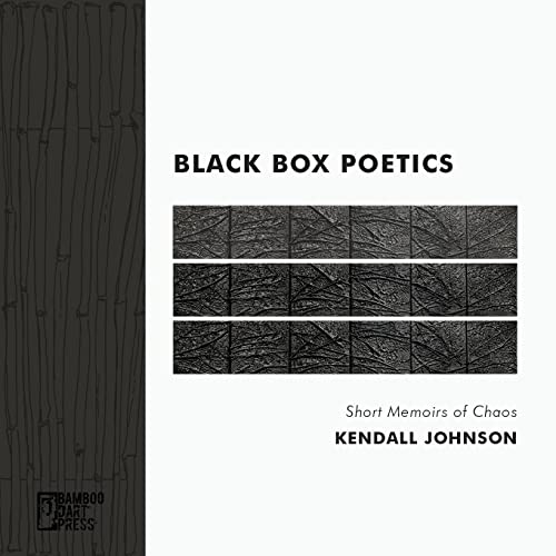 Beispielbild fr Black Box Poetics: Short Memoirs of Chaos zum Verkauf von GF Books, Inc.