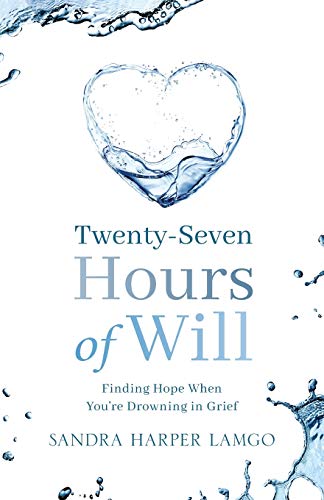 Imagen de archivo de Twenty Seven Hours of Will a la venta por GreatBookPrices