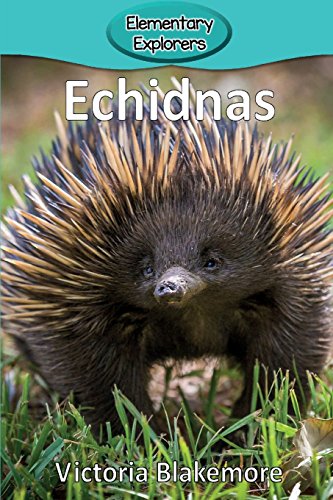 Stock image for Echidnas (Elementary Explorers) for sale by Goodwill Southern California
