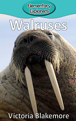 Imagen de archivo de Walruses (Elementary Explorers) a la venta por PlumCircle