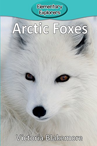 Beispielbild fr Arctic Foxes (Elementary Explorers) zum Verkauf von Goodwill of Colorado