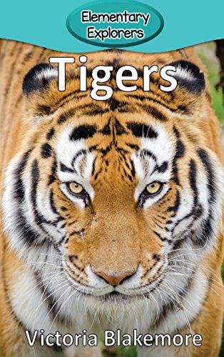 Stock image for Tigers (Elementary Explorers) for sale by PlumCircle