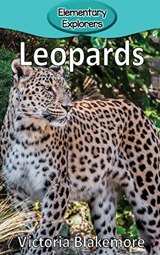 9781947439337: Leopards (Elementary Explorers)